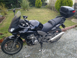 photos