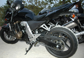 photos