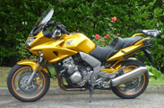 photos