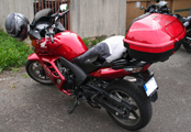 photos
