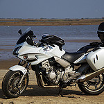 Avatar du membre